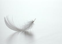 Screen shot 2014-10-28 at 8.03.37 PM